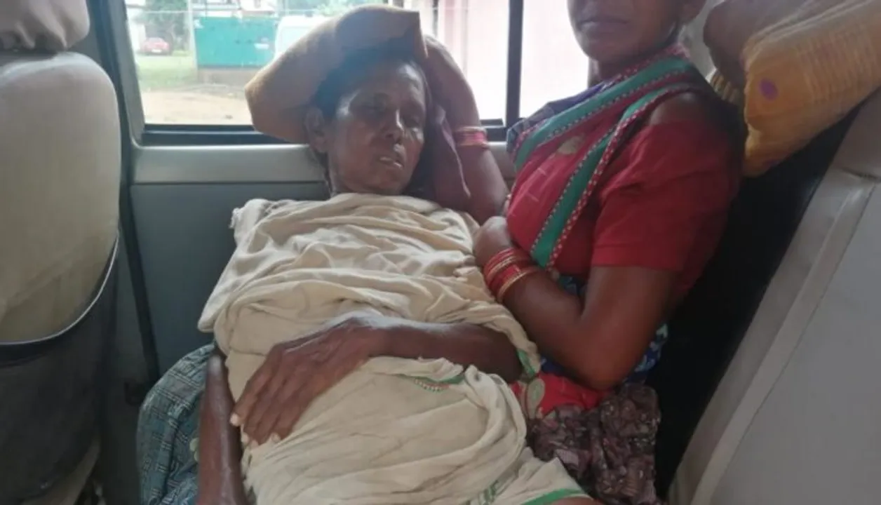  Elderly woman hospitalised after elephant attack in Odisha's Angul