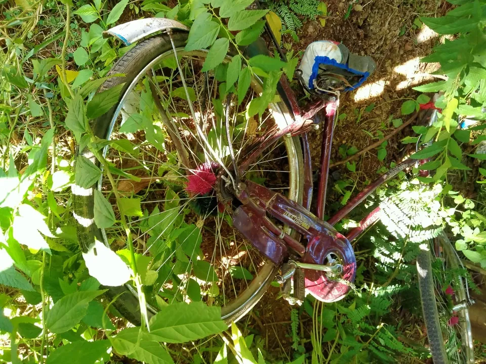  Girl student dies in truck accident in Odisha's Jagatsinghpur