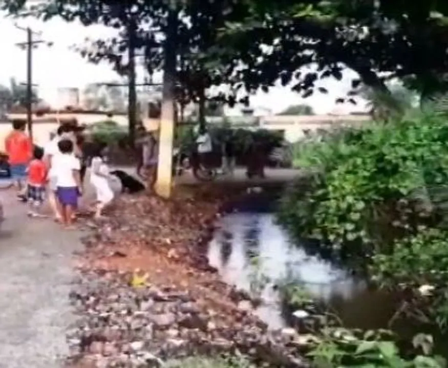  Newborn found dead at drain in Odisha's Kendrapara