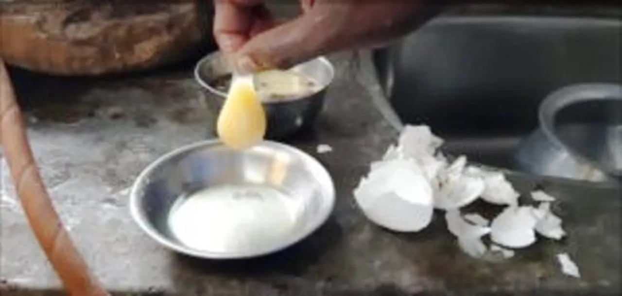  'Plastic egg' scare grips Odisha's Malkangiri
