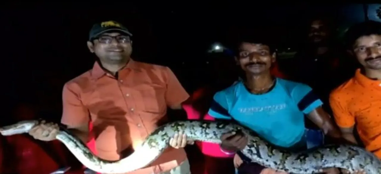  12-ft-long python rescued in Odisha's Balasore