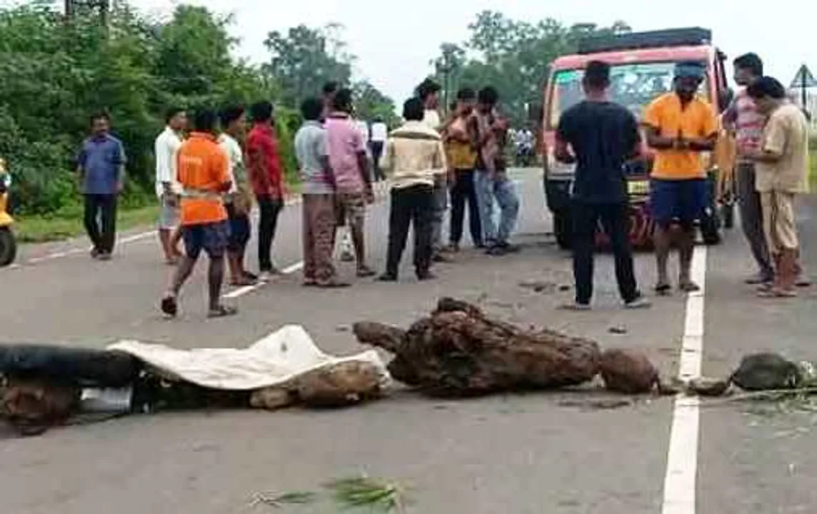  NH blocked over cyclist's death in road mishap in Odisha