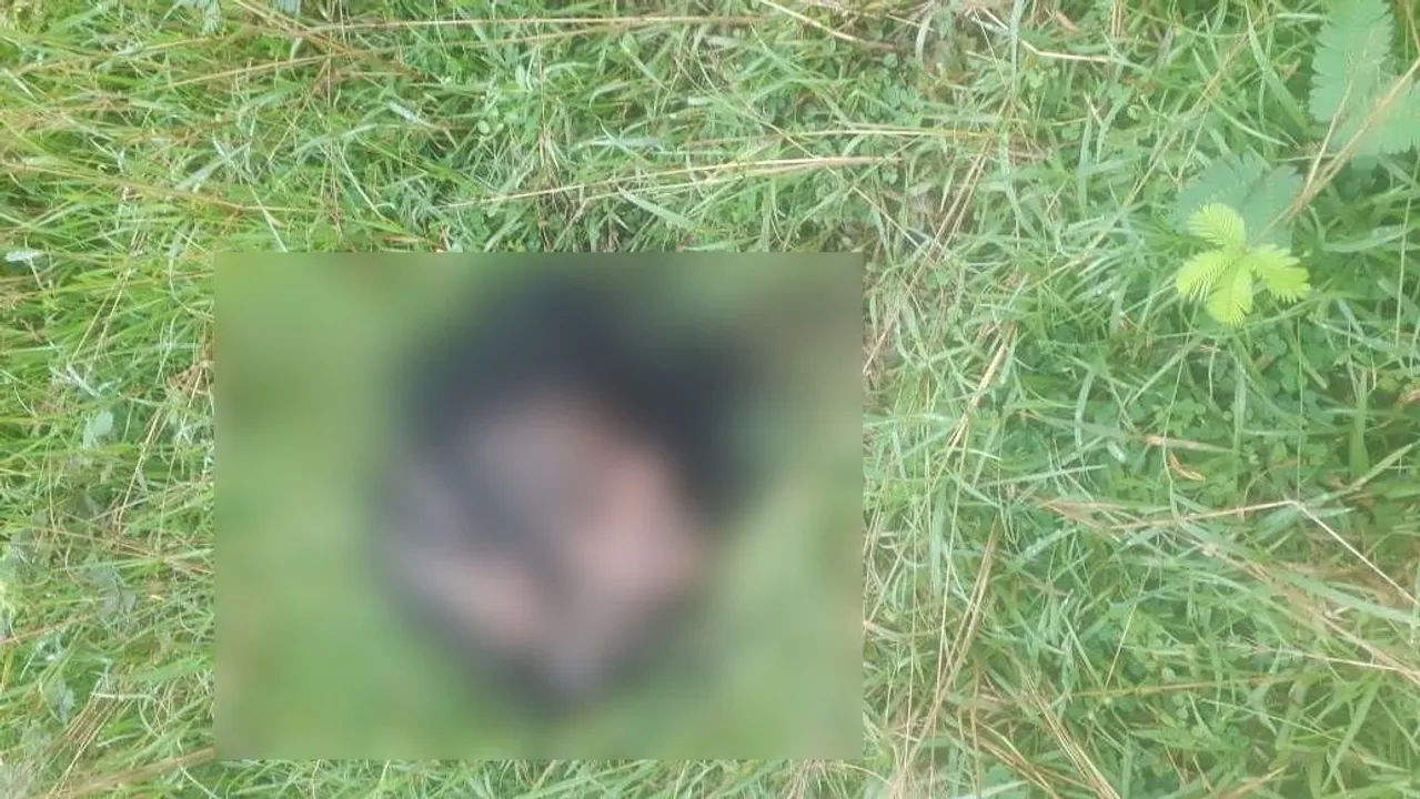  Odisha woman's severed head found; probe on