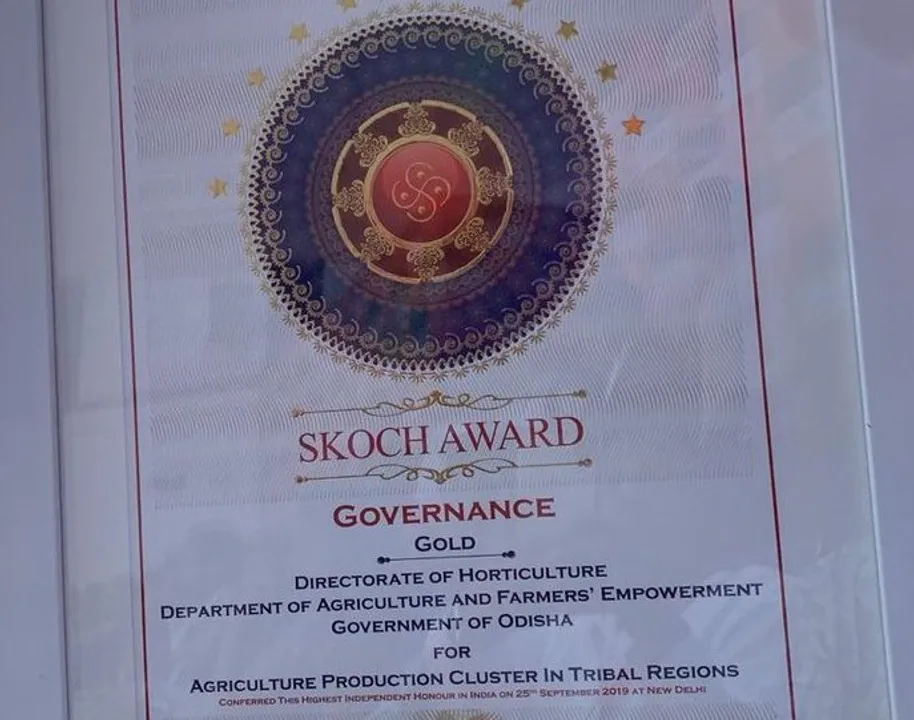  Odisha bags SKOCH Award for 'Agriculture Production Cluster'