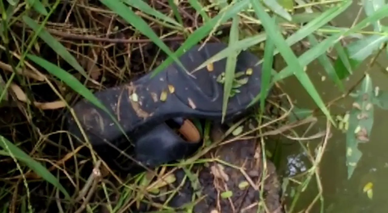  Odisha: Half-naked body of woman with hands tied found floating in nullah  