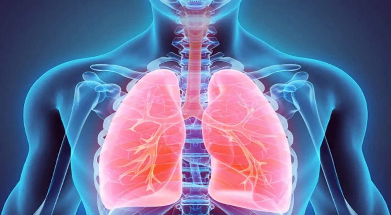  Fat accumulates inside lungs of obese people: Study