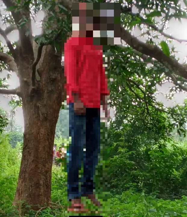  Youth's body found hanging from tree in Odisha's Angul, murder alleged