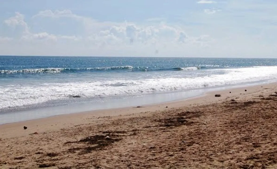 Odisha: Photographer turns saviour, saves woman from drowning in sea
