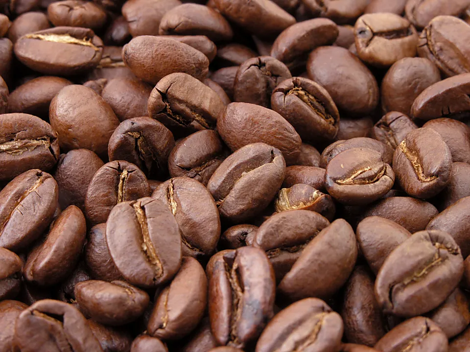  Coffee bean extracts can cut fat-induced inflammation