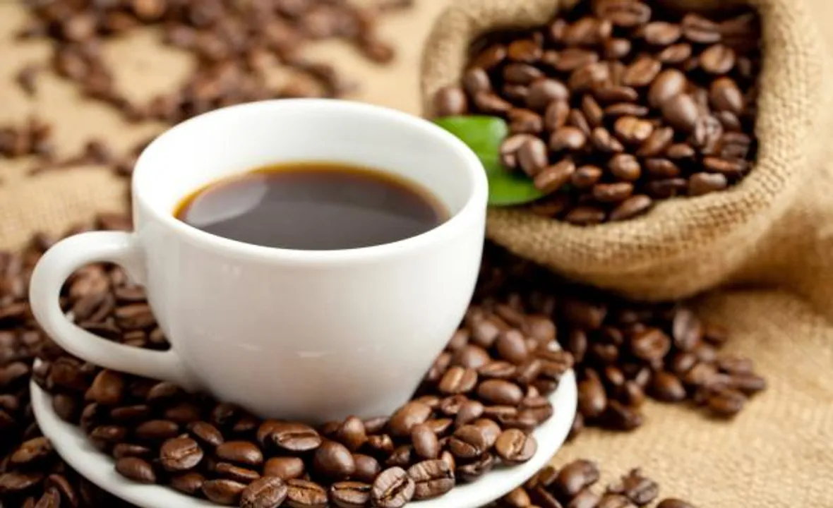  The all-season popular beverage you can't live without