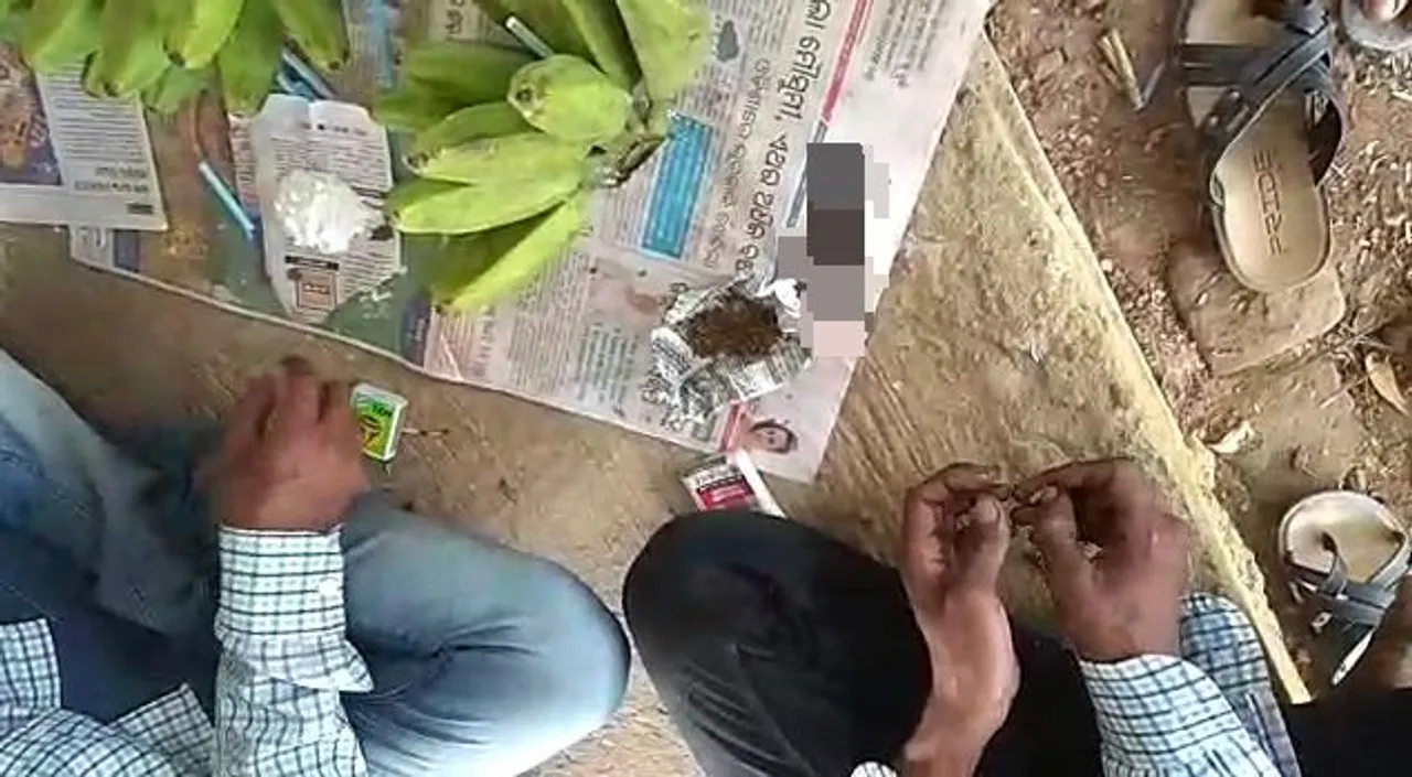  Watch: College students doing drugs smuggled through banana bunch in Odisha