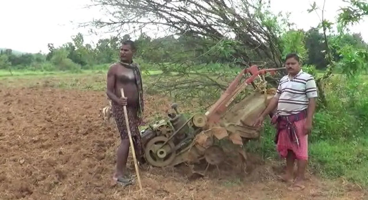  Farmer critical in elephant attack in Odisha's Khordha