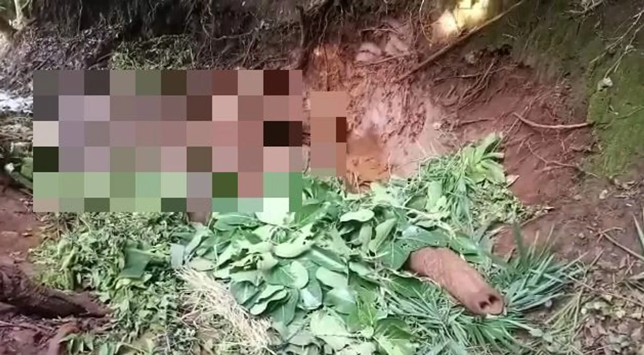  Ailing elephant dies in Odisha's Keonjhar