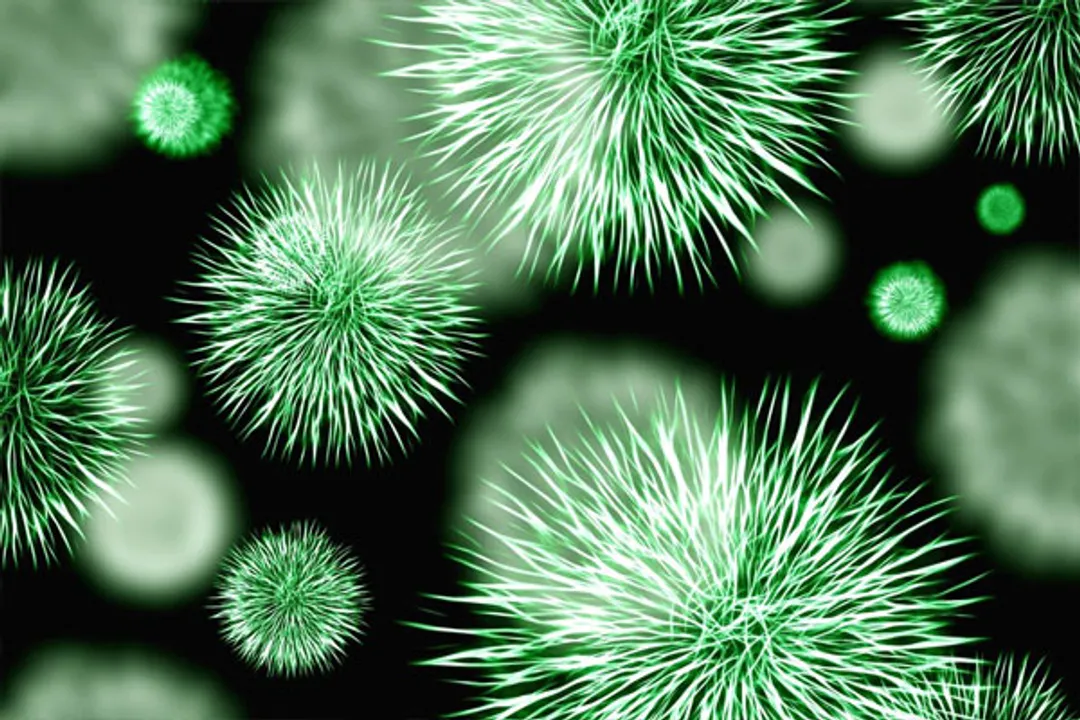  Bacteria in the gut may alter ageing process: Study