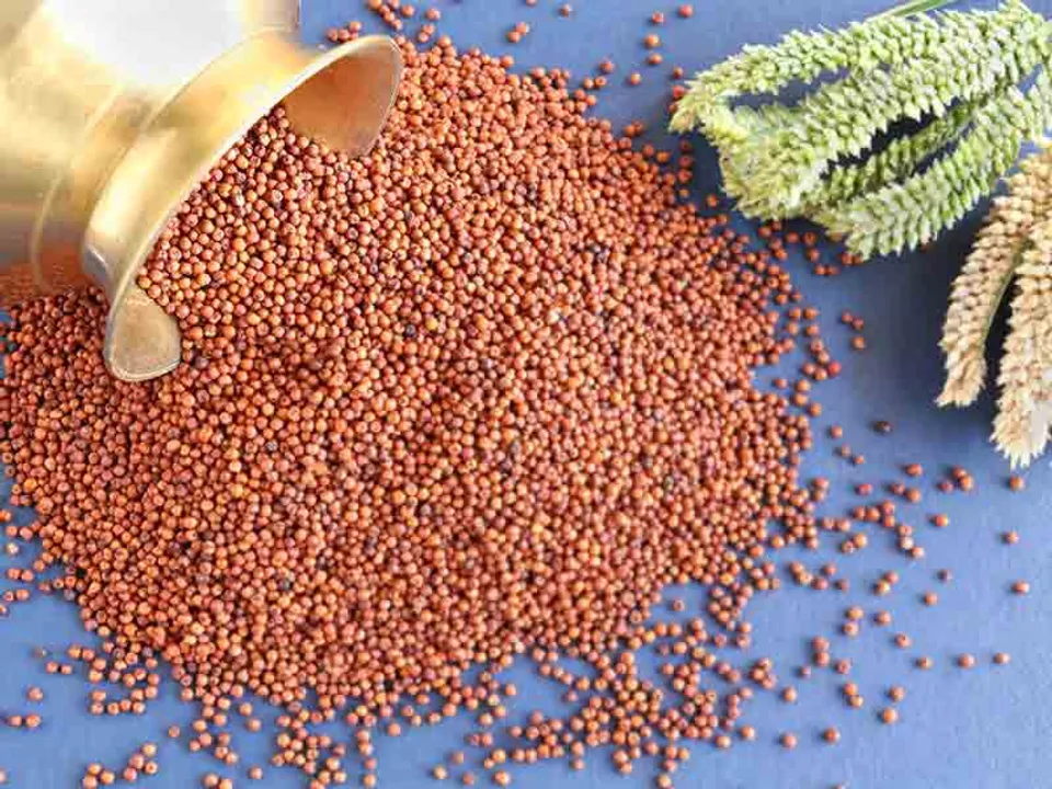  Odisha targets to produce 1 lakh quintal ragi this year