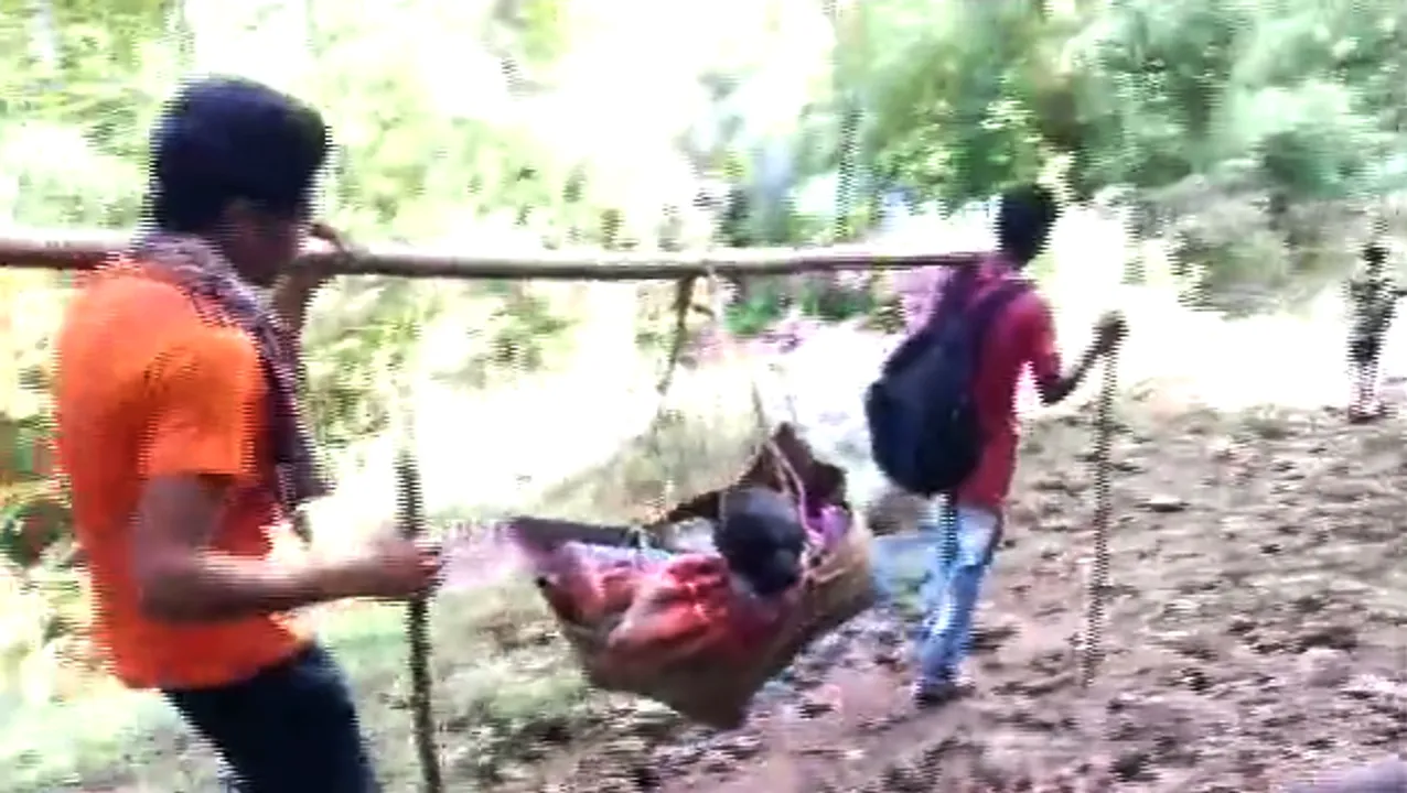  [Watch] With no road, woman patient carried on sling to ambulance in Odisha