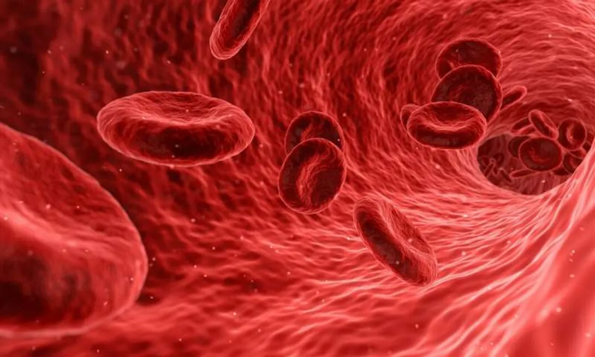  Pic courtesy: Medical Xpress 