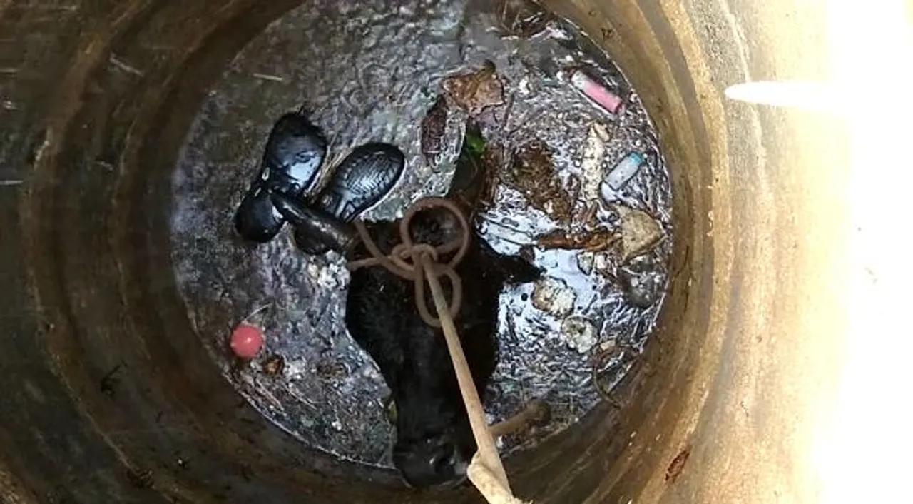  [Watch] Bull rescued from well in Odisha's Cuttack city