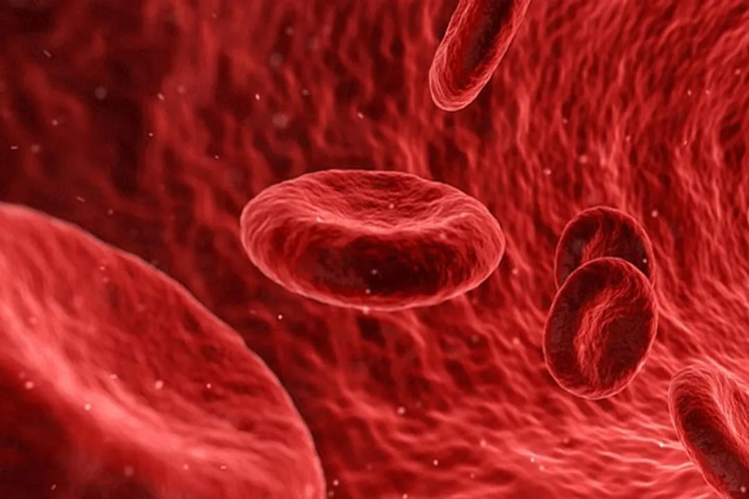  High hormone levels in blood raise prostate cancer risk