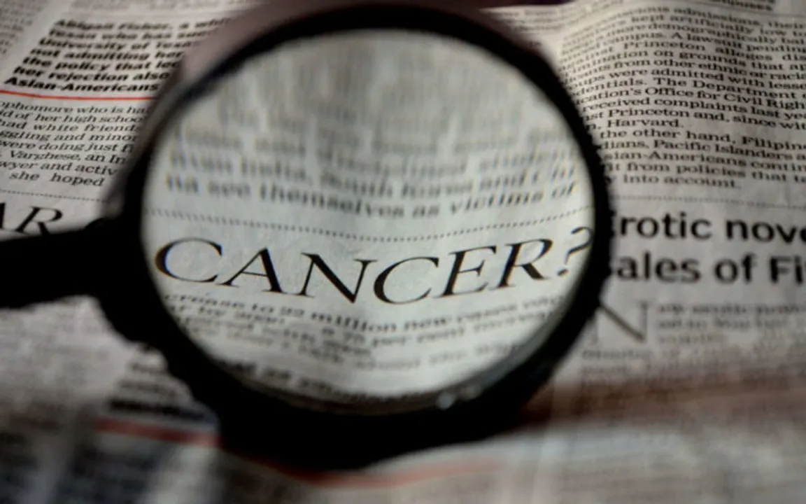  Gut microbe may promote some breast cancers: Study