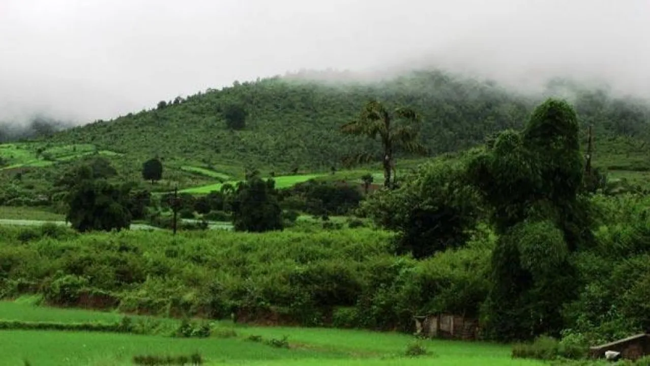  Odisha to shiver under intense cold from tomorrow; mercury dips below 10 °C in Daringbadi