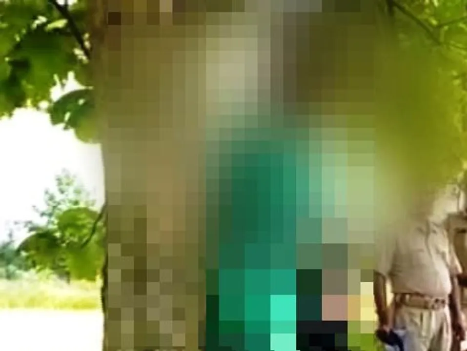  Man, girl found hanging from tree in Odisha's Nabarangpur
