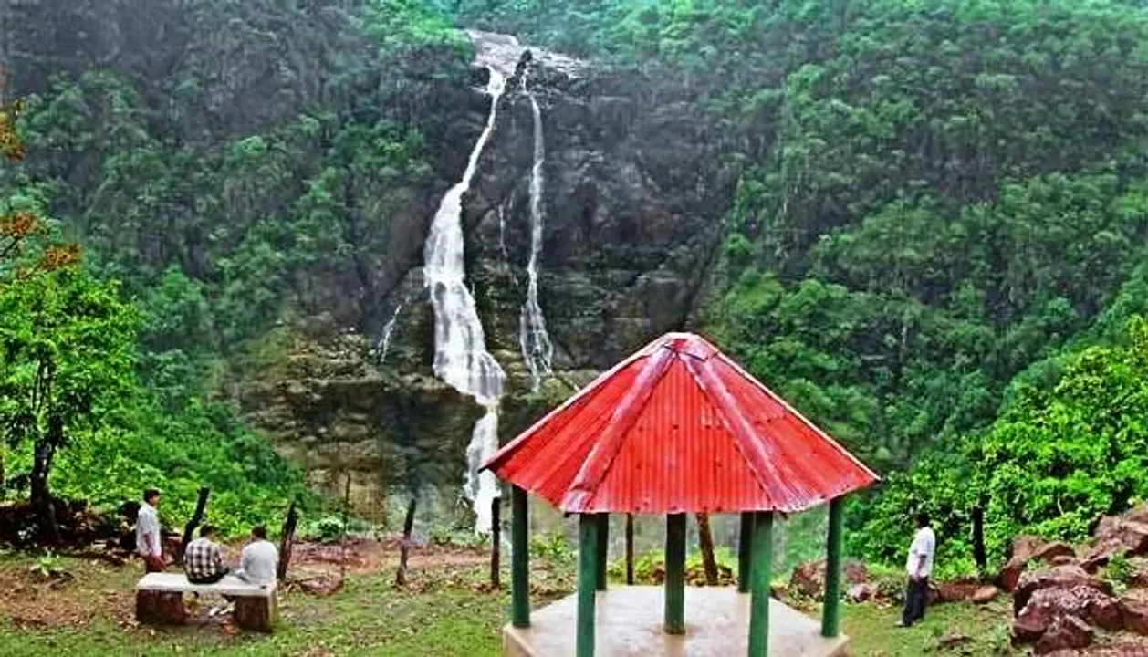  Similipal Wildlife Sanctuary reopens for tourists