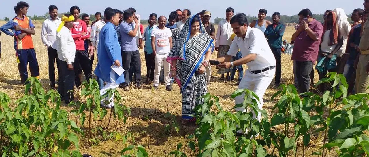  Minor girl found dead on farmland under mysterious circumstance in Odisha  
