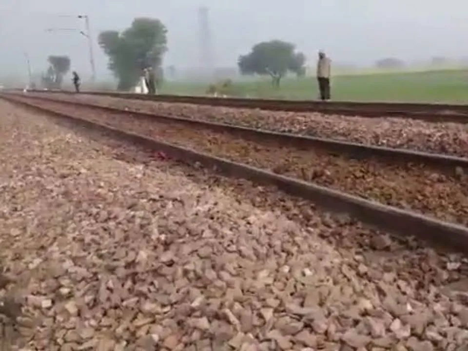 15 cows run over by train in Agra