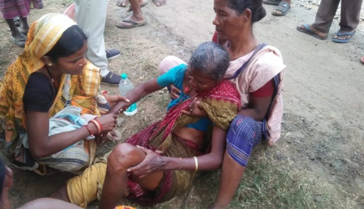  Elderly woman injured in tusker attack in Odisha's Sambalpur