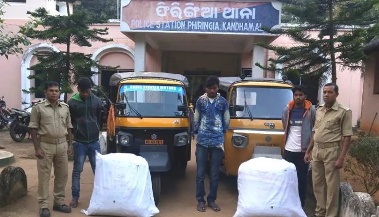  83 kg ganja seized in Odisha; five smugglers arrested