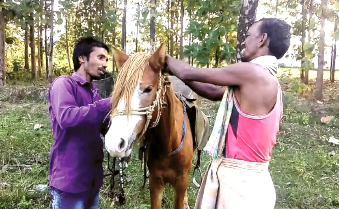  Odisha man buys horse fearing hefty traffic fines