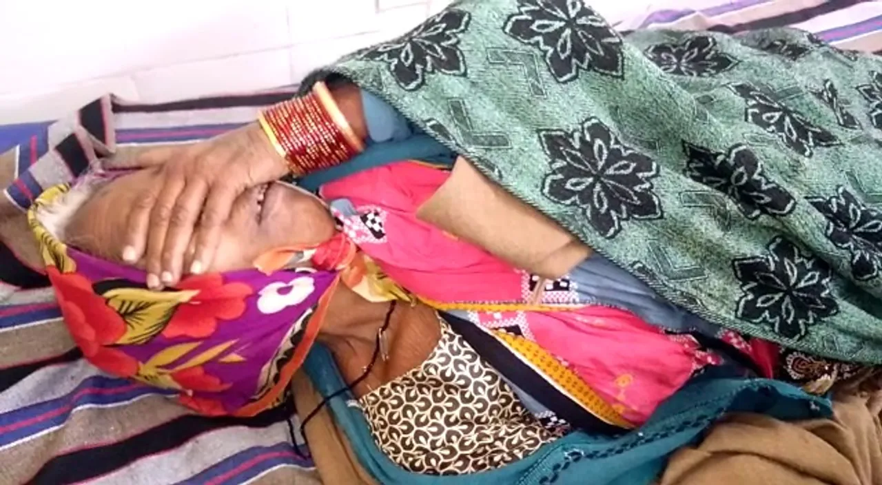  Elderly woman injured in bear attack in Odisha's Kalahandi