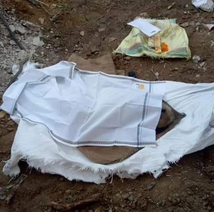  Last rites of monkey performed in Odisha akin to humans