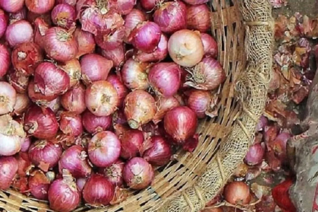  NSUI activists stage stir outside Odisha minister's house over onion price rise
