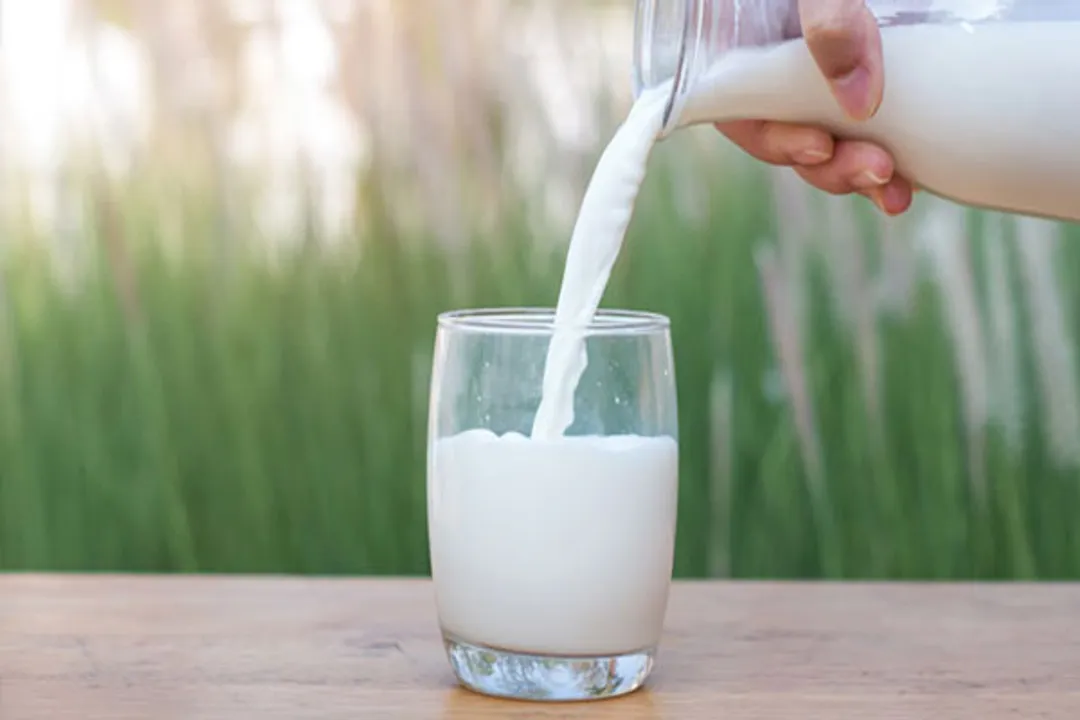  Study finds ultra-processed vegan meat, soy milk may aid weight loss