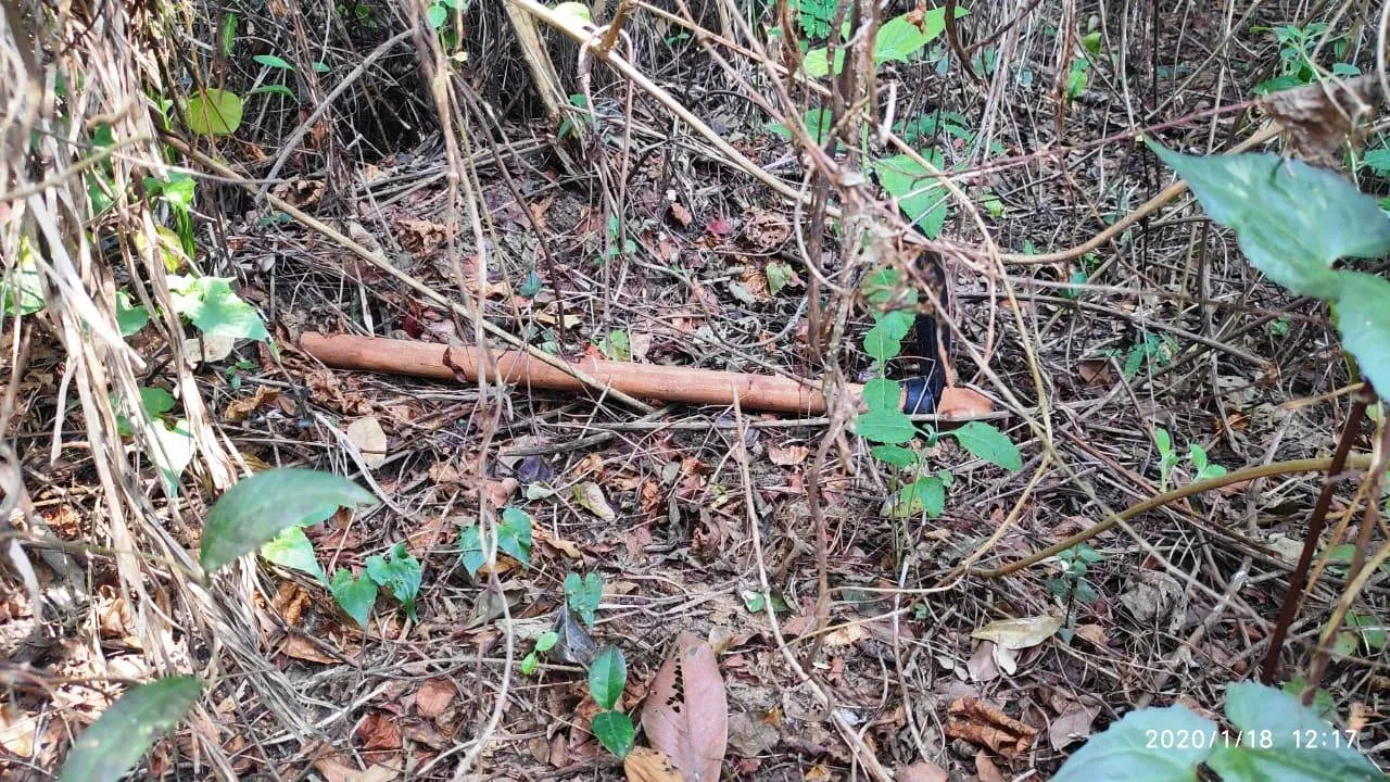  17 days after murder, woman’s body exhumed in Odisha