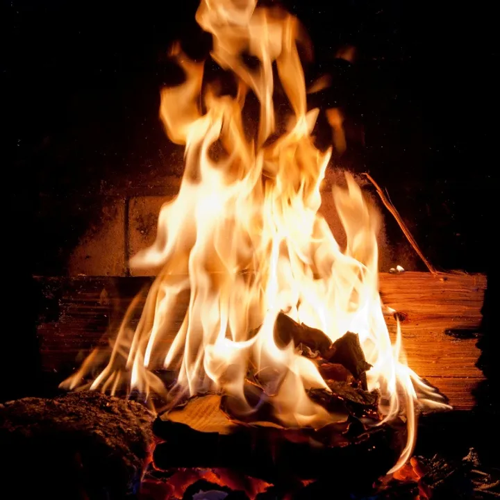  Odisha woman attempts to immolate self, two kids over family feud