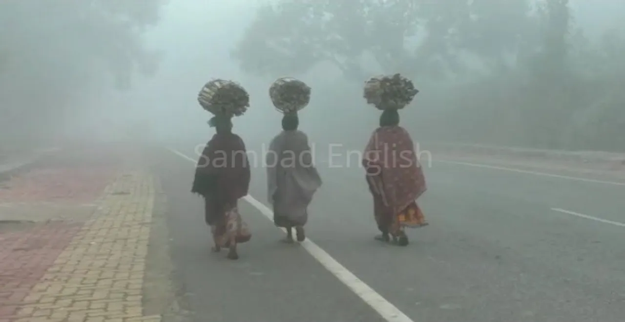  Mercury drops in Odisha; 4 places record temperature below 15 degree C
