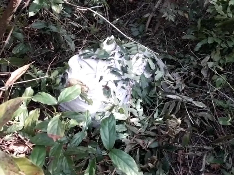  Newly-wed woman's body wrapped in sack found in Odisha forest
