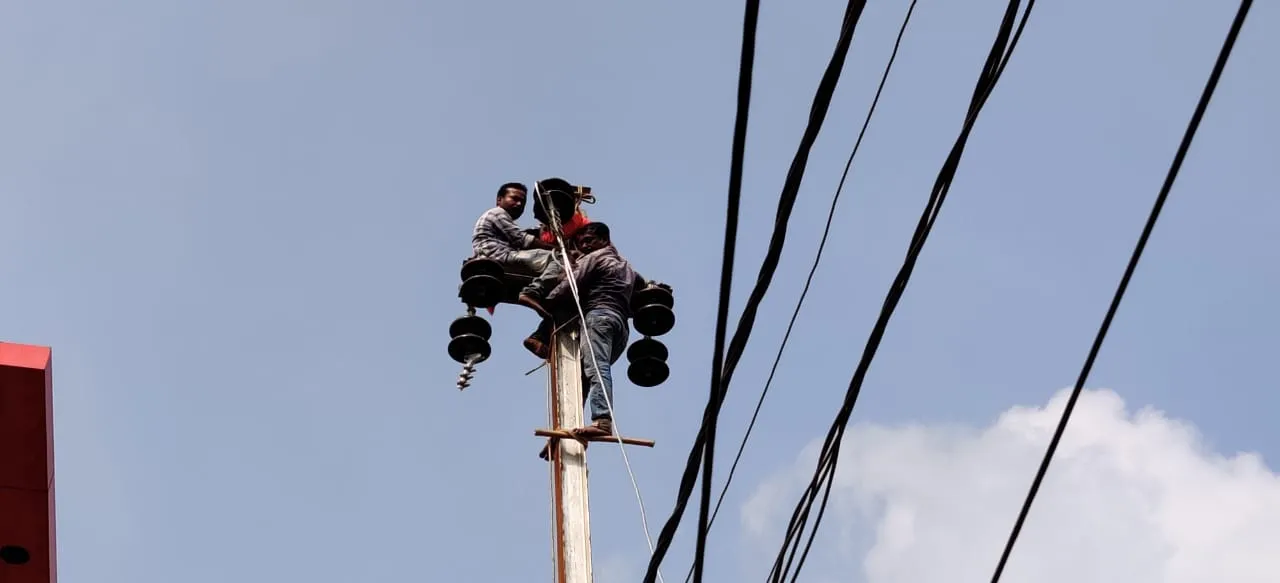  Web portal for quick delivery of electricity services in Odisha soon