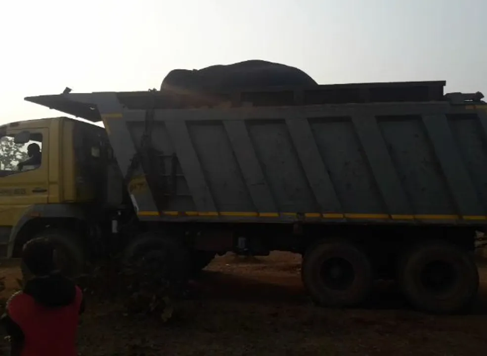  'Killer' elephant's translocation brings sigh of relief in Odisha's Jajpur