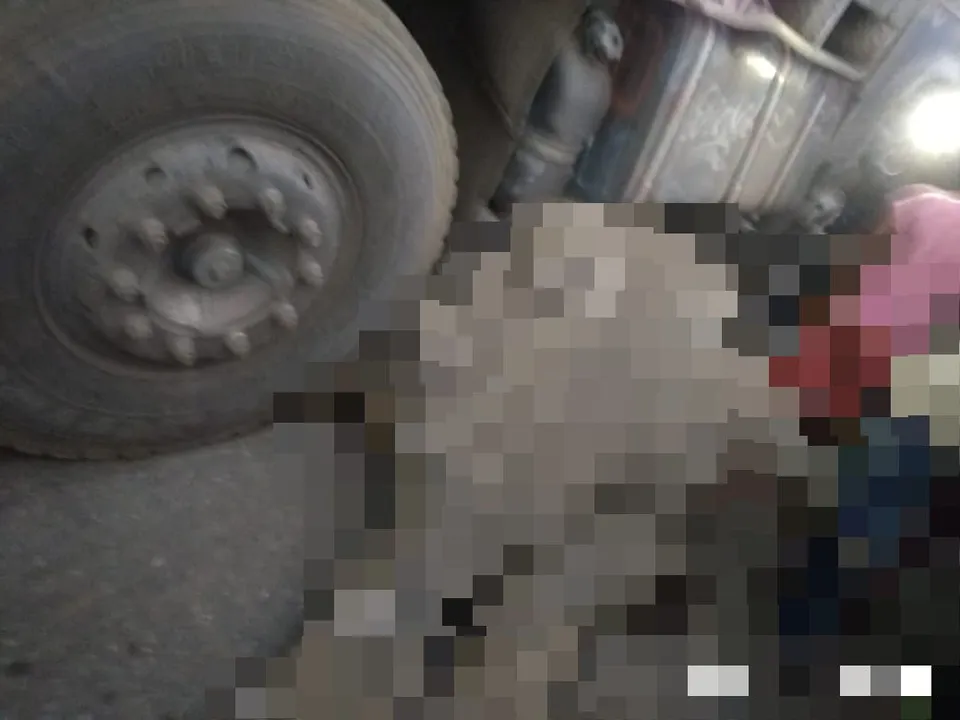  Truck crushes elephant to death in Odisha's Dhenkanal