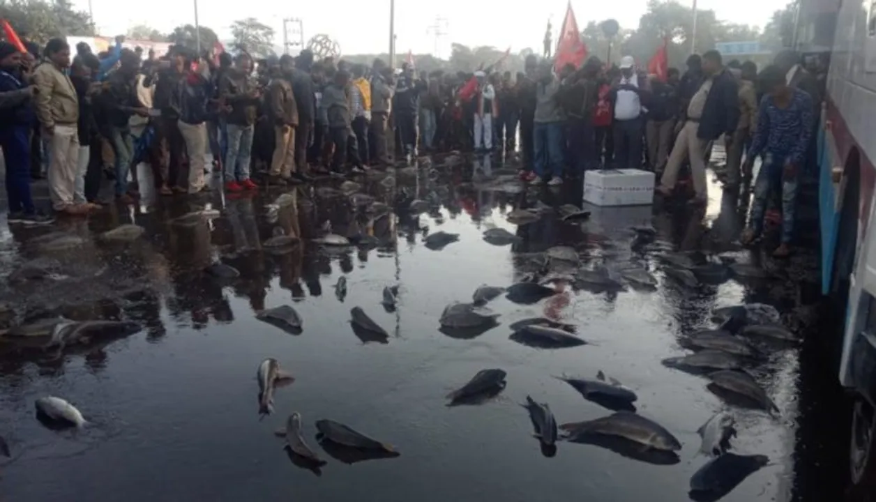  Fish-laden pickup van overturns in Odisha's Rourkela during Bharat Bandh