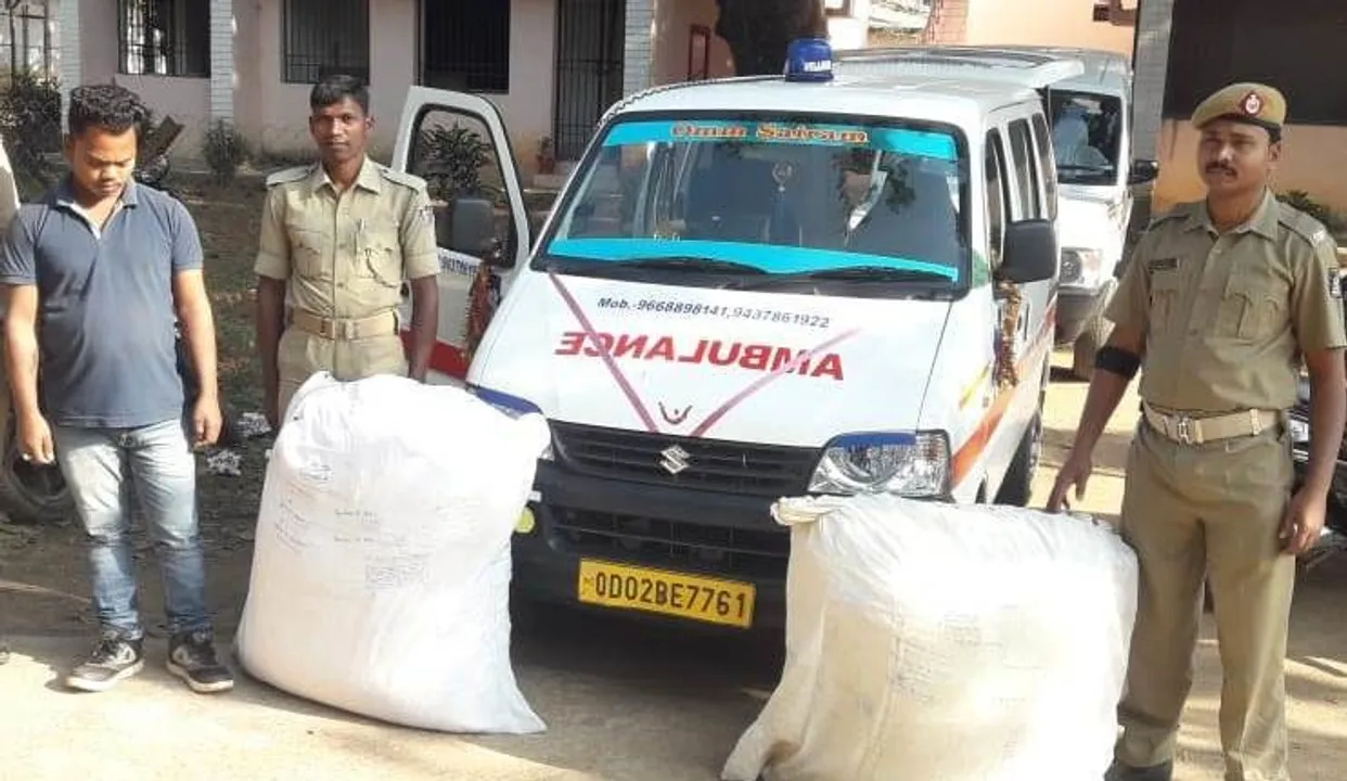  Odisha: Ambulance driver arrested for cannabis smuggling