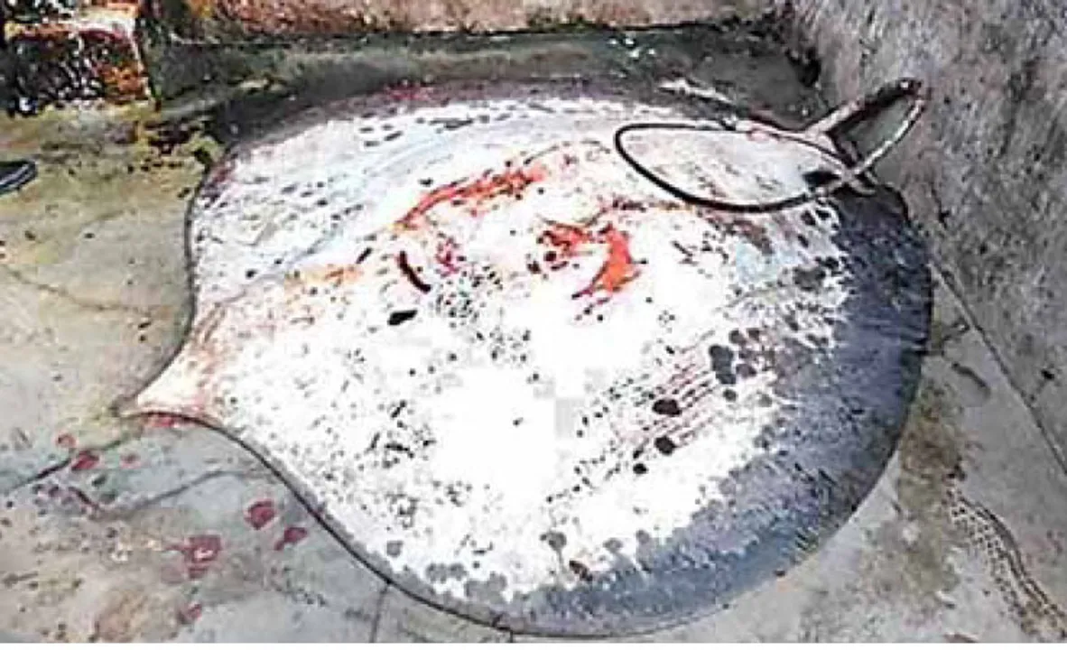  Giant stingray caught during fishing in Odisha