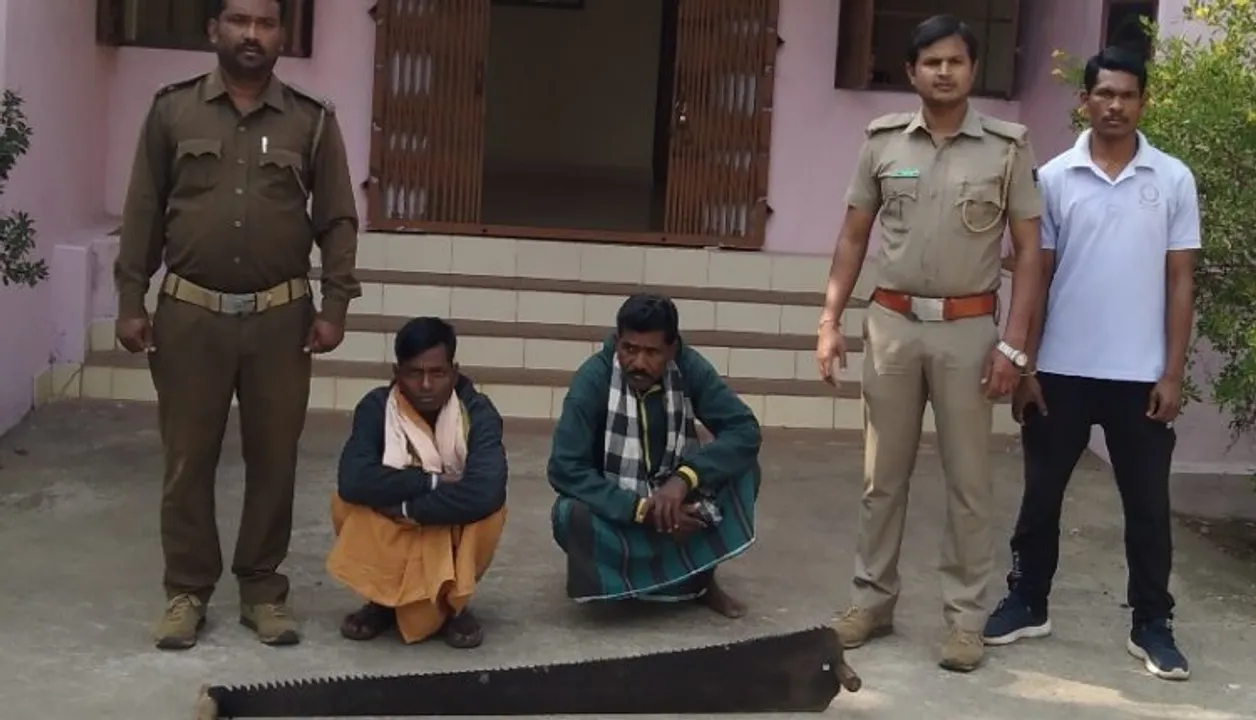  Two timber smugglers held following raid in Odisha’s Nabarangpur