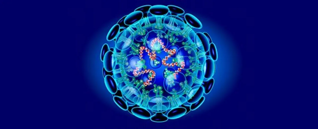  Coronavirus death toll hits 811, over 37,000 infected