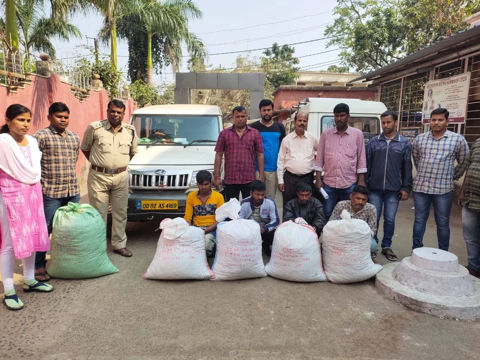  Four arrested in Odisha's Cuttack for smuggling ganja