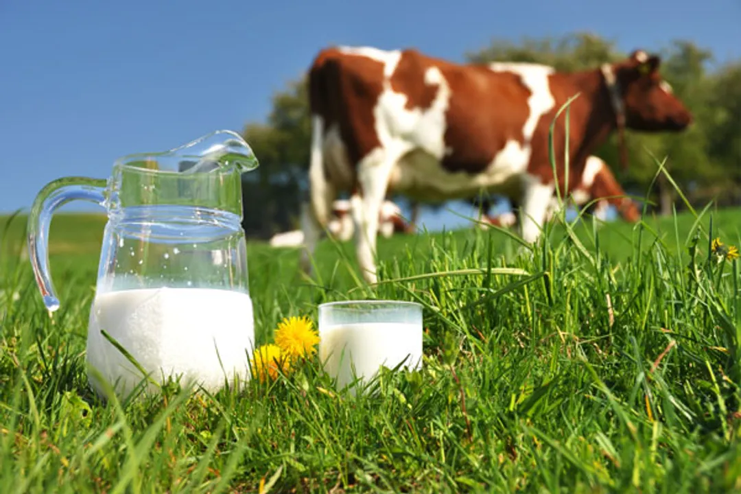  Pic Courtesy: Be Legendairy 